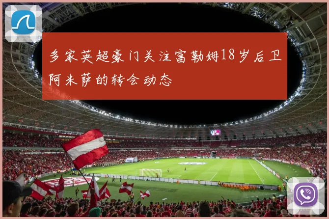 多家英超豪门关注富勒姆18岁后卫阿米萨的转会动态