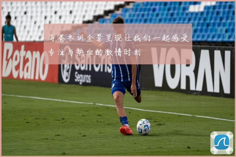 海港冬训全景呈现让我们一起感受专注与热血的激情时刻