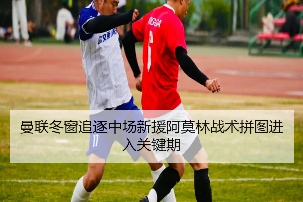 曼联冬窗追逐中场新援阿莫林战术拼图进入关键期
